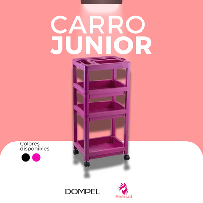 Carros Asistente Júnior Rosa