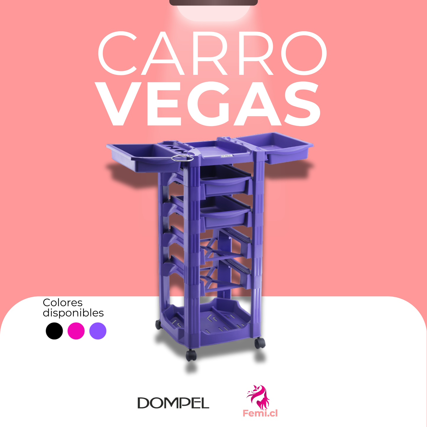 Carros Vegas Morado