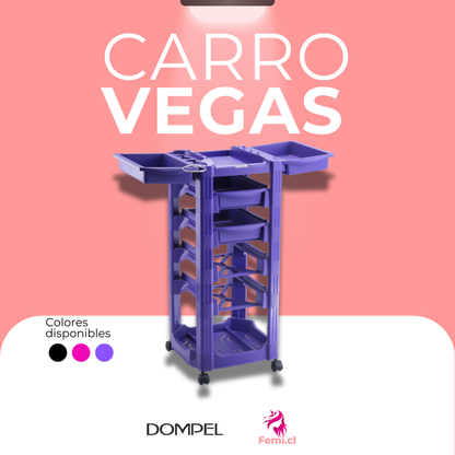 Carros Vegas Morado